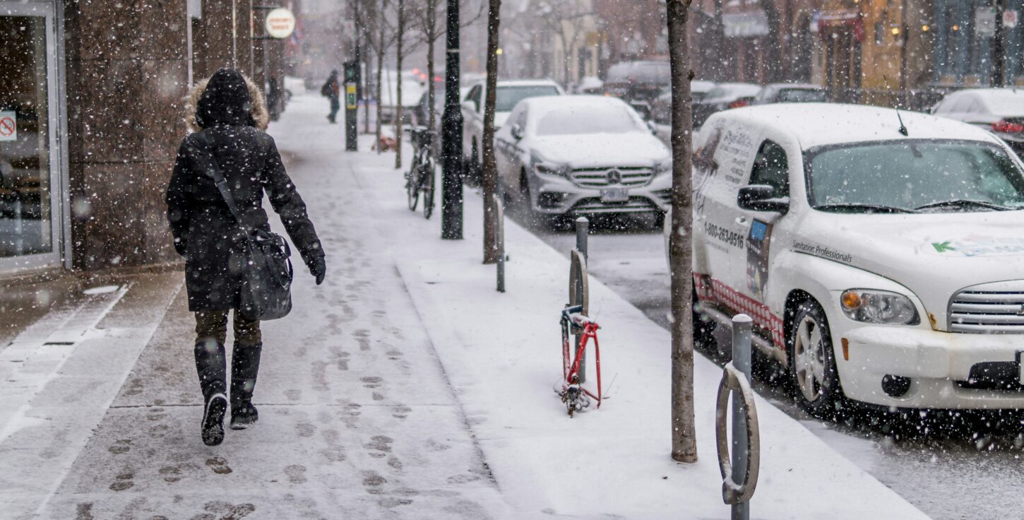 Standpunt bladeren, sneeuw en ijs