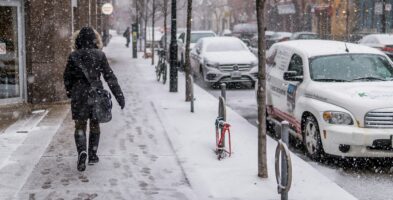 Standpunt bladeren, sneeuw en ijs